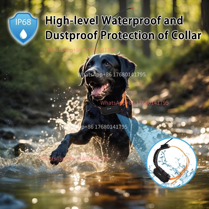 Açık Alan Av Köpeği Takip Tasm - Outdoor Power Hours incelemesi ve fiyatı