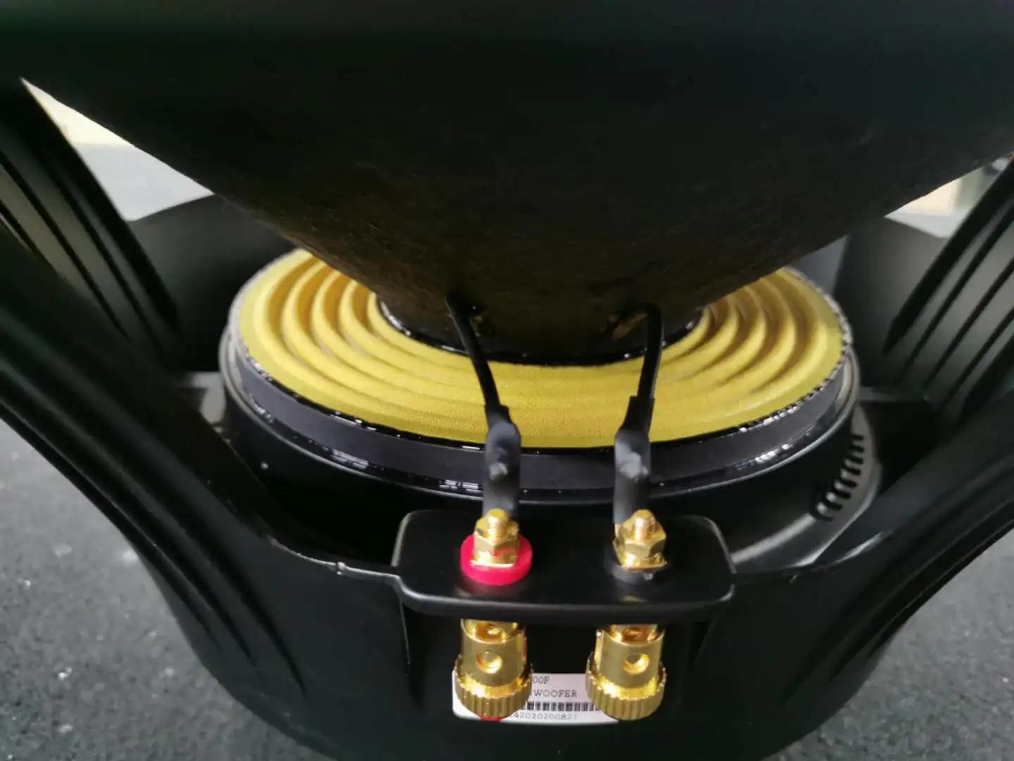 Çin Toptan Satış 800w PA Karar - Quality Outdoor Power Equipment incelemesi ve fiyatı